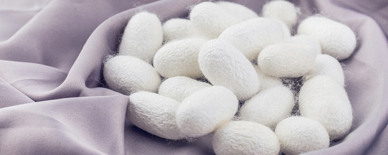 Silk Essence Garment