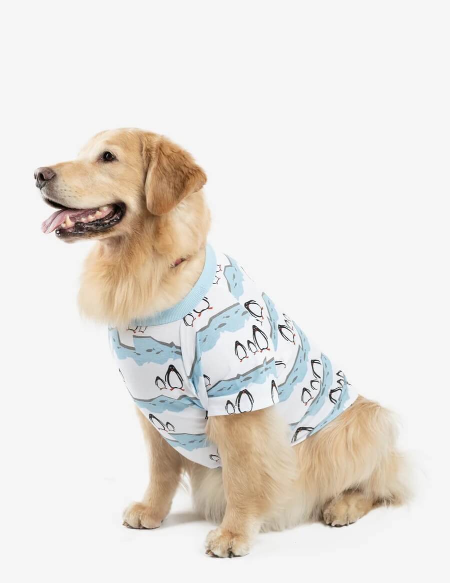 Family Pajama Set Wholesale Manufacturer